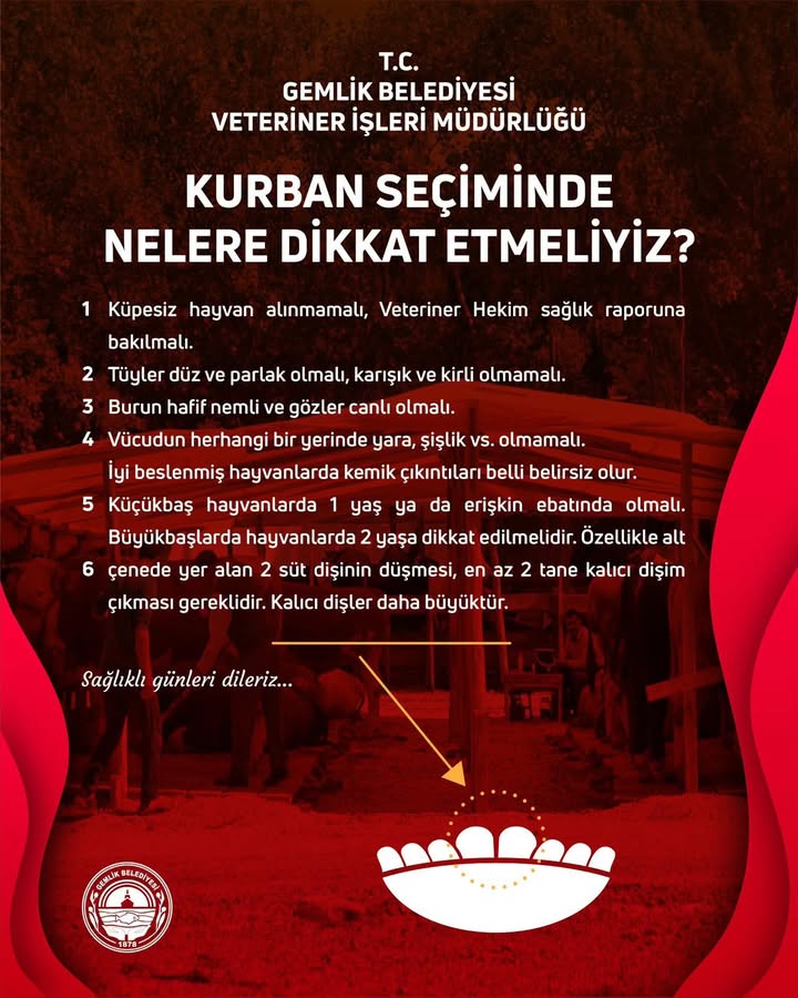 Gemlik TV