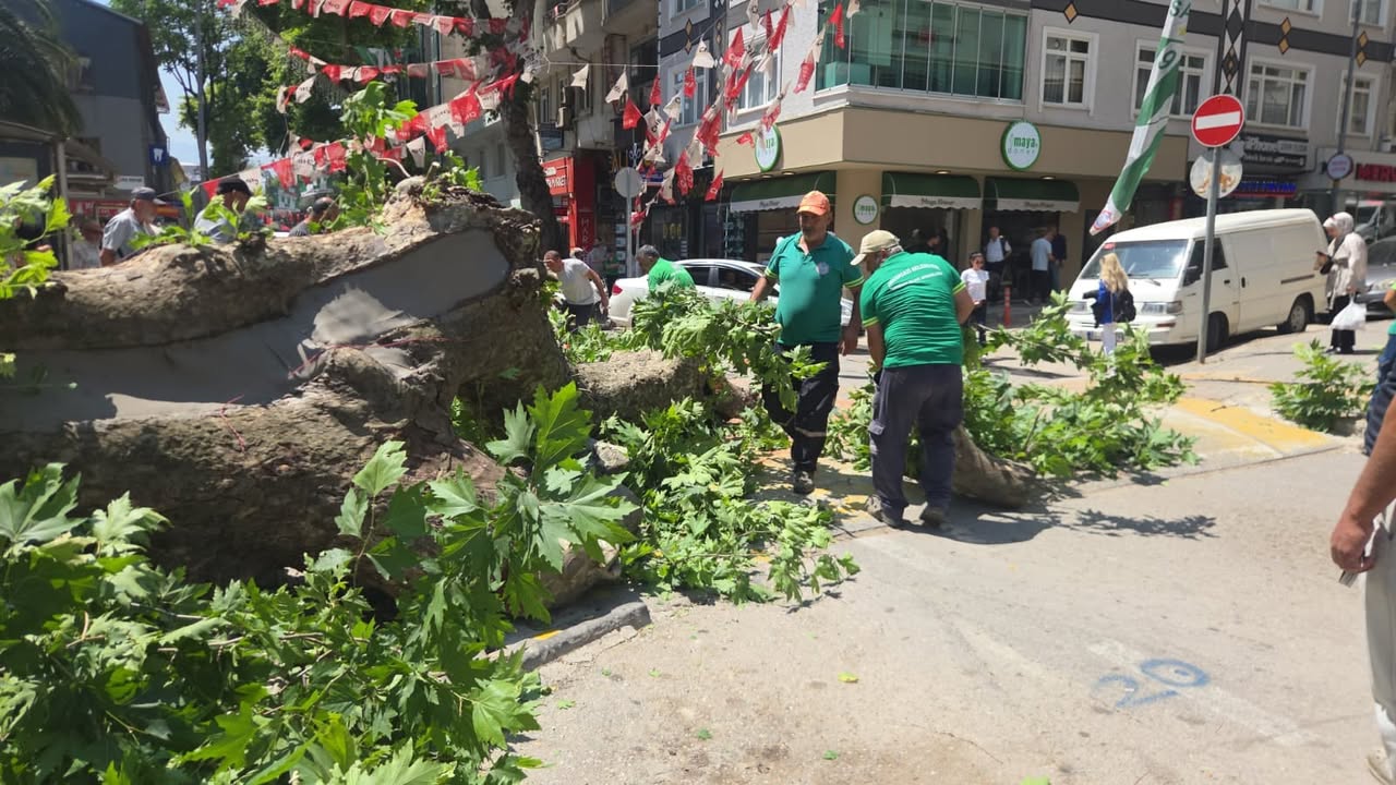 Gemlik TV
