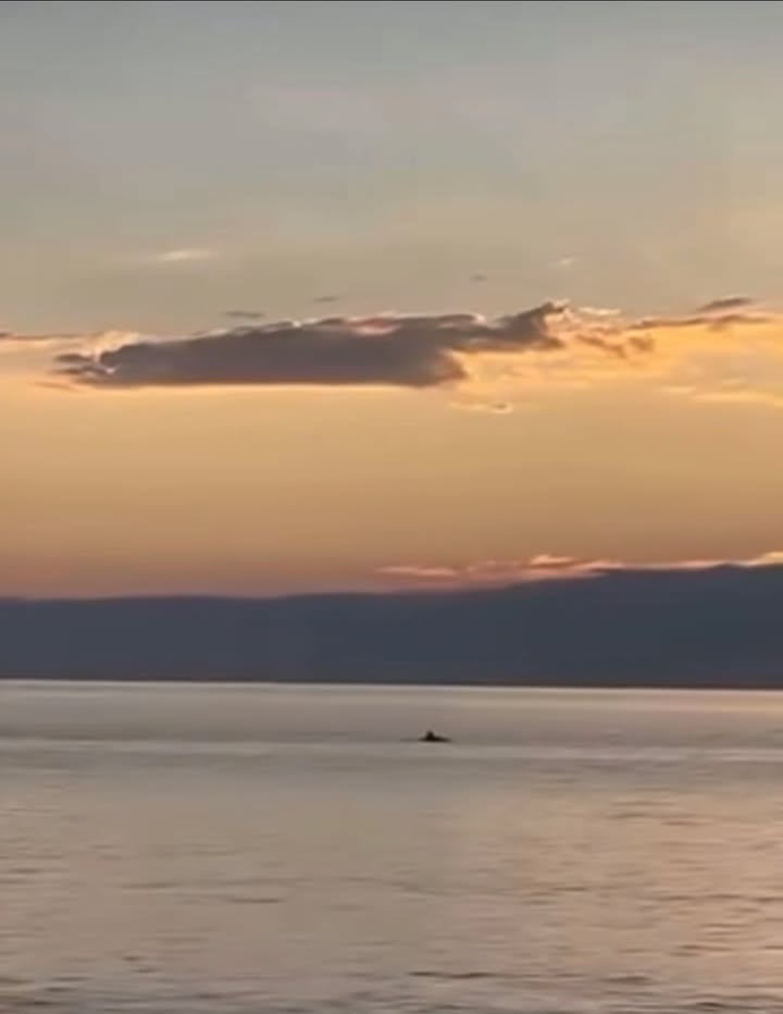 Gemlik TV
