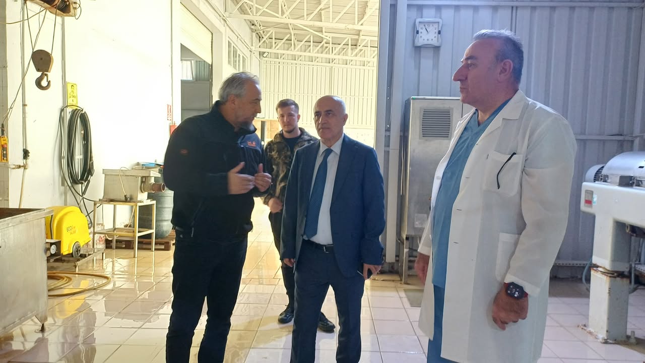 Gemlik TV