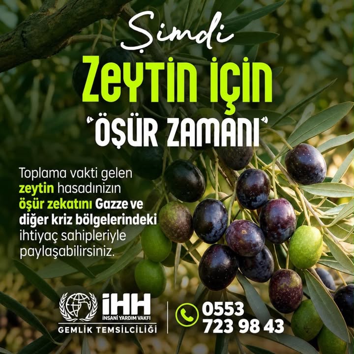 Gemlik TV